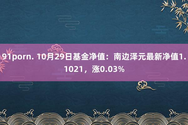 91porn. 10月29日基金净值：南边泽元最新净值1.1021，涨0.03%