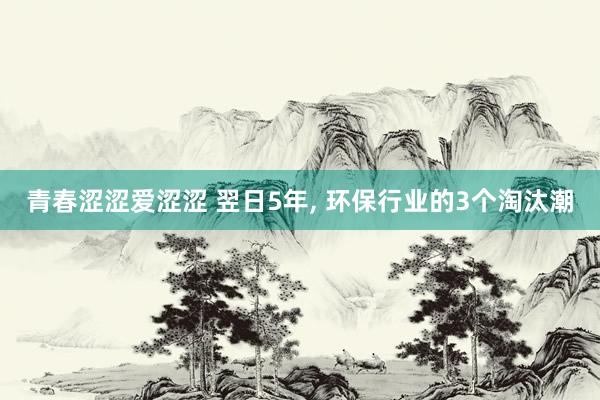 青春涩涩爱涩涩 翌日5年， 环保行业的3个淘汰潮