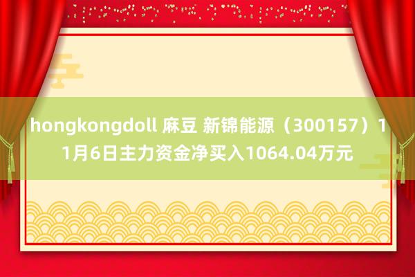 hongkongdoll 麻豆 新锦能源（300157）11月6日主力资金净买入1064.04万元