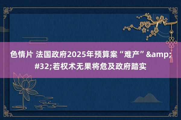 色情片 法国政府2025年预算案“难产”&#32;若权术无果将危及政府踏实