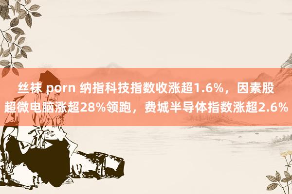 丝袜 porn 纳指科技指数收涨超1.6%，因素股超微电脑涨超28%领跑，费城半导体指数涨超2.6%