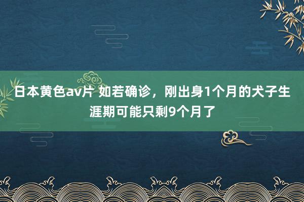 日本黄色av片 如若确诊，刚出身1个月的犬子生涯期可能只剩9个月了